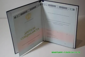 Купить диплом ВШНИ в Иркутске — Высшей школы народных искусств (института)